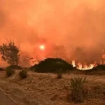 Φωτιές - ΤΟ ΚΑΚΟ ΣΤΗΝ ΡΙΖΑ ΤΟΥ! Κόβουμε τους Φαγάδες 4 Φωτιές - ΤΟ ΚΑΚΟ ΣΤΗΝ ΡΙΖΑ ΤΟΥ! Κόβουμε τους Φαγάδες